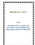 Đề tài: Giải pháp nhằm mở rộng cho vay tiêu dùng tại chi nhánh Ngân hàng Nông nghiệp và Phát triển Nông thôn