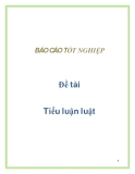 Đề tài: Tiểu luận luật