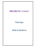 Tiểu luận môn Kinh tế chính trị