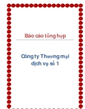 Báo cáo tổng hợp – Công ty Thương mại dịch vụ số1