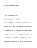 Cảm nghĩ về mẹ (2)