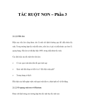 TẮC RUỘT NON – Phần 3 