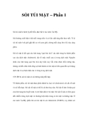 SỎI TÚI MẬT – Phần 1 