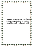 Tình hình thị trường, các yếu tố ảnh hưởng việc phân đoạn thị trường, sản phẩm, cạnh tranh, phân phối