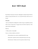 RAU TIỀN ĐẠO 