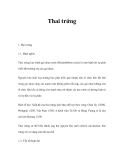 Tài liệu Thai trứng 