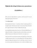 Bệnh do ấu trùng Echinococus granulosus ( hydatidose ) 