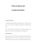 Trùng roi đường ruột ( Giardia intestinalis ) 