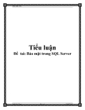 Đề  taì: Bảo mật trong SQL Server