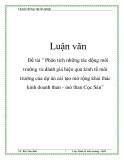 Đề tài " Phân tích những tác động môi trường và đánh giá hiệu quả kinh tế môi trường của dự án cải tạo mở rộng khai thác kinh doanh than - mỏ than Cọc Sáu”