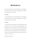 BỆNH HO GÀ  