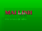 Quản trị chiến lược về vận tải Mai linh