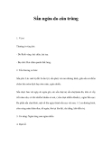 Sẩn ngứa do côn trùng 