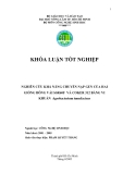 Luận văn : NGHIÊN CỨU KHẢ NĂNG CHUYỂN NẠP GEN CỦA HAI GIỐNG BÔNG VẢI SSR60F VÀ COKER 312 BẰNG VI KHUẨN Agrobacterium tumefaciens part 1