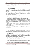 [Xây Dựng] Thi Công Hầm Theo Phương Pháp Bottom Up Phần 10