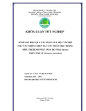 Luận văn : ĐÁNH GIÁ HIỆU QUẢ TÁC DỤNG CỦA MỘT VÀI HỢP CHẤT TỰ NHIÊN CHIẾT XUẤT TỪ THẢO MỘC TRONG ĐIỀU TRỊ BỆNH PHÁT SÁNG DO Vibrio harveyi TRÊN TÔM SÚ (Penaeus monodon) part 1