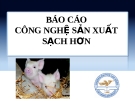 Báo cáo công nghệ sản xuất sạch hơn: Cơ hội thực hiện sản xuất sạch hơn trong giết mổ gia súc