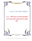 BÁO CÁO TỐT NGHIỆP: "Phân tích các chỉ tiêu lợi nhuận của Công ty đầu tư phát triển xây dựng DIC"