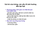 Bài giảng : CÔNG NGHỆ SẢN XUẤT BÁNH KẸO part 4