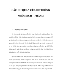 CÁC CƠ QUAN CỦA HỆ THỐNG MIỄN DỊCH – PHẦN 2  