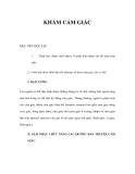 PHƯƠNG PHÁP KHÁM CẢM GIÁC 