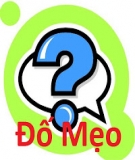 Tổng hợp những câu đố mẹo
