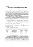 Chương 4 Cấu trúc và Chức năng của các RNA