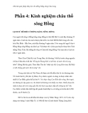 Thử tìm giải pháp thủy lợi cho đồng bằng sông Cửu Long - Phần 4: Kinh nghiệm châu thổ sông Hồng