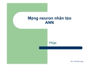 Mạng neuron nhân tạo ANN