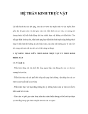ĐẠI CƯƠNG HỆ THẦN KINH THỰC VẬT 