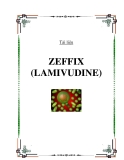 ZEFFIX (LAMIVUDINE)