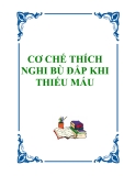 CƠ CHẾ THÍCH NGHI BÙ ĐẮP KHI THIẾU MÁU