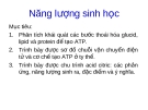 Năng lượng sinh học