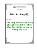 Báo cáo tốt nghiệp: “Giải pháp phát triển hệ thống phân phối liên kết dọc nhóm hàng điện tử điện lạnh tại thị trường Việt Nam”