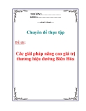 Chuyên đề thực tập: “Các giải pháp nâng cao giá trị thương hiệu đường Biên Hòa”