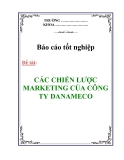 CHUYÊN ĐỀ TỐT NGHIỆP:" CÁC CHIẾN LƯỢC MARKETING CỦA CÔNG TY DANAMECO "