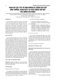 BÁO CÁO NGHIÊN CỨU KHOA HỌC KỸ THUẬT:  THE EFFECTS OF MAJORITY NUTRIENT FACTORS LIMITED ON GROWTH, YIELD ABILITY AND STARCH CONTENT IN CASSAVA 