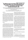 BÁO CÁO NGHIÊN CỨU KHOA HỌC KỸ THUẬT:  EFFECT OF PHOSPHORUS FERTILISER ON THE GROWTH, YIELD, NUTRITION RESIDUAL AND DENSITY OF MYCORRHIZAL COLONIZATION OF MAIZE (Zea mays L.) IN WINTERSPRING CROP OF THE YEAR 2004-2005 IN THE GRAY SOIL REGIONS OF TAY NINH PROVINCE 