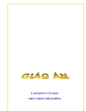 Giáo án mầm non chương trình đổi mới: LÀM QUEN VĂN HỌC THƠ: CHIM CHÍCH BÔNG