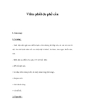 Viêm phổi do phế cầu 