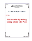 Báo cáo tốt nghiệp: Rủi ro trên thị trường chứng khoán Việt Nam