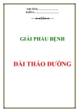 ĐẶC ĐIỂM ĐÁI THÁO ĐƯỜNG