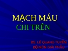 Mạch máu chi trên (Giải phẫu học)