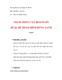 Đề tài BÉ THÁM HIỂM RỪNG XANH