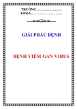 Giải phẫu bệnh: Bệnh viêm gan virus