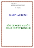 TỔNG QUAN SỐT DENGUE VÀ SỐT XUẤT HUYẾT DENGUE