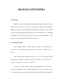 BỆNH DO LEPTOSPIRA 