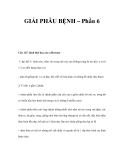 GIẢI PHẪU BỆNH – Phần 6 