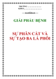 ĐỊNH HƯỚNG CHẨN ĐOÁN NHIỄM TRÙNG HÔ HẤP