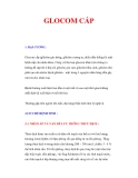 GLOCOM CẤP 